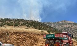 Kahramanmaraş'ta orman yangını sürüyor