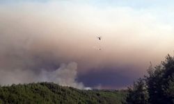 Sakarya’da ormanlık alanda çıkan yangına havadan ve karadan müdahale sürüyor