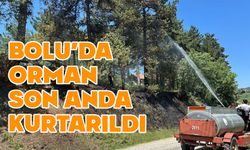 Bolu’da orman yangını korkuttu