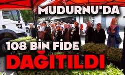 Mudurnu'da 108 bin fide dağıtıldı, çiftçiler akın etti