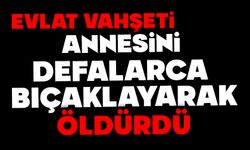 Evlat vahşeti: Annesini defalarca bıçaklayıp öldürdü
