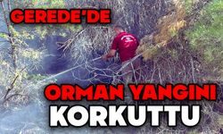 Göynük’te Orman Yangını Korkuttu