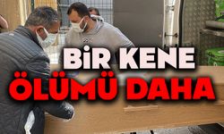 Kenenin yapıştığı yaşlı kadın öldü