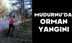 Mudurnu’da Orman Yangını