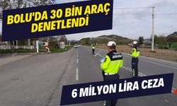 Bolu'da 30 bin araç denetlendi: 6 milyon lira ceza