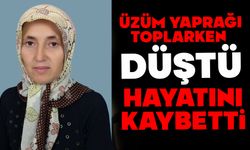 Üzüm yaprağı toplarken düşen kadın hayatını kaybetti