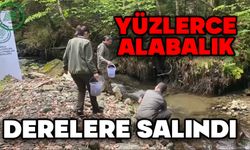 Yüzlerce alabalık derelere salındı