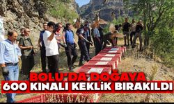 Bolu’da doğaya 600 kınalı keklik bırakıldı
