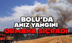 Bolu'da anız yangını ormana sıçradı