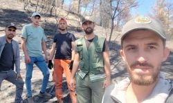 Ormanlar yeniden doğuyor: Geyve'de fidan mesaisi başladı