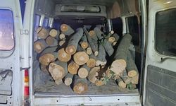 1 ton kaçak orman ürünü ele geçirildi