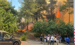 Antalya'da ormanlık alanda yangın paniği