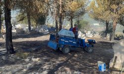 Alaplı'da ormanlık alanda çıkan yangın kontrol altına alındı