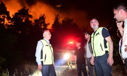 Kestel'de eşgüdüm, teknoloji ve dayanışmayla yangının önü kesildi
