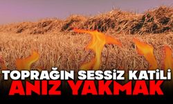TOPRAĞIN SESSİZ KATİLİ, ANIZ YAKMAK
