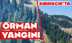 Bolu Kıbrıscık’ta Yaylalık alanda Orman Yangını