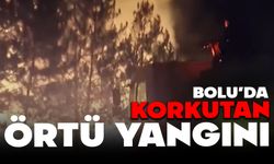 Bolu’da örtü yangını çıktı