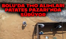 BOLU’DA TMO ALIMLARI PATATES PAZARI’NDA SÜRÜYOR