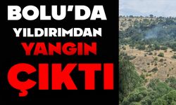 Bolu’da yıldırım kaynaklı yangın çıktı