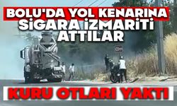 Bolu'da yol kenarına atılan sigara izmariti, kuru otları yaktı