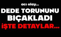 Dede torununu bıçakladı