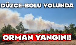 Düzce-Bolu Yolunda Orman Yangını!