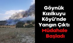 Göynük Kızılkuyu Köyü’nde Yangın Çıktı:  Müdahale Başladı