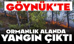 GÖYNÜK'TE ORMANLIK ALANDA YANGIN ÇIKTI