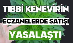 Tıbbi kenevirin eczanelerde satışı yasalaştı