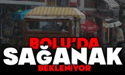 BOLU VE ÇEVRESİNDE YEREL SAĞANAK BEKLENİYOR