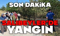 Bolu’da evlerin arasında anız yangını
