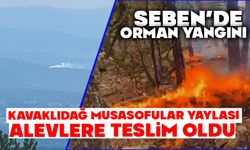 Seben’de orman yangını