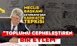 Meclis Başkanı Çetinkaya'dan Karikatür Tepkisi “TOPLUMU CEPHELEŞTİREN BİR EYLEM”