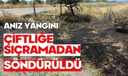 Anız yangını çiftliğe sıçramadan söndürüldü
