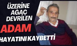 ÜZERİNE AĞAÇ DEVRİLEN ADAM HAYATINI KAYBETTİ