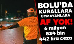 Bolu'da kurala uymayana af yok: 6 milyon 534 bin 442 lira ceza