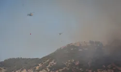 Çanakkale’de orman yangını büyük ölçüde kontrol altında