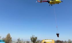 Soma’da orman yangınıyla mücadele devam ediyor