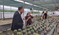 Doğal afetlere akıllı sera ile çözüm