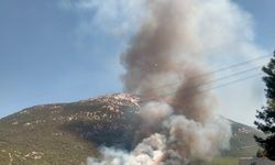 Denizli'de orman yangını