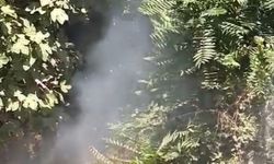 Zonguldak'ta ormanlık alanda çıkan yangın söndürüldü