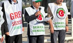 Kütahya Şeker Fabrikası işçileri greve başladı