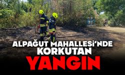 Alpagut Mahallesi’nde korkutan yangın