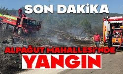 Alpağut Mahallesi’nde Yangın!