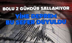 Bolu 2 gündür sallanıyor, depremler neyin habercisi?