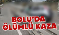 Bolu’da kaza eşleri ayırdı