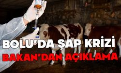 Bolu'da şap krizi sona erdi