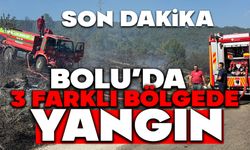 BOLU'DA 3 FARKLI YERDE YANGIN