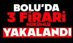 Bolu'da 3 firari hükümlü yakalandı