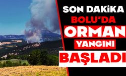 Bolu’da orman yangını başladı